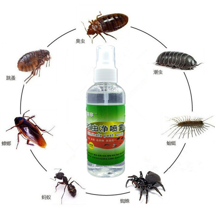 Flea Drug Insecticide Spray Detidal Insect Repellent Drug Jumping Slumps Spider Ant Fly Insect Fly Mosquito Drug Home