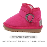 Красная роза-