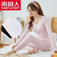 Nam Cực chính hãng ren vòng cổ cotton cơ thể nhiệt đồ lót nữ đáy chặt chẽ Quần áo mùa thu mỏng quần dài phù hợp với đồ lót nữ