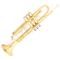 Risong LIGE beginners practice student introductory professional playing instrumental downfall B minor number LTR-601