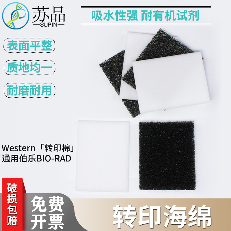 Western转印棉 湿转转印海绵垫 通用伯乐天能 海绵衬垫多孔垫