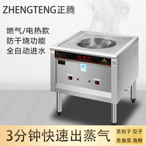 Zhengteng electric heating gas multi-functional steam stall breakfast shop porous energy-saving commercial steamed bun oven