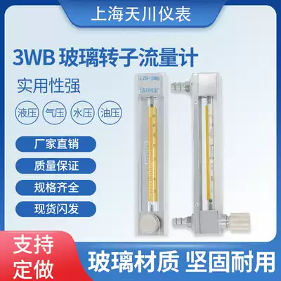 Shanghai Tianchuan Brand Glass Rotor Flowmeter LZB-3WBF Pipeline Float Gas Liquid Flowmeter