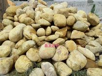 Gardening Garden stone decoration Courtyard Pool edge pebbles yellow wax stone Flower bed edge River beach stone Large stone