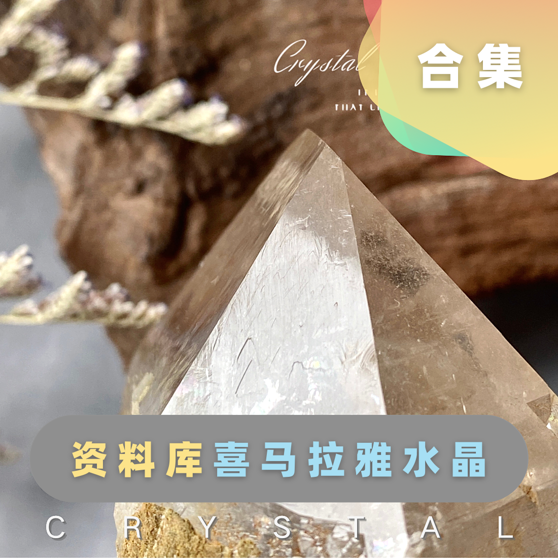 (Database)Rare Natural Himalayan Crystal Rough Stone Ornament Mineral Label Pakistan India