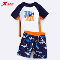 Тибетский апельсин, двойка