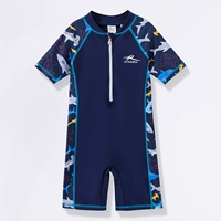 Тибетская синяя и синяя акула