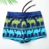 Đồ bơi nam boxer thời trang nam thoải mái đồ bơi gợi cảm đồ bơi nam đồ bơi kích thước lớn đồ bơi thiết bị bơi Nam bơi đầm