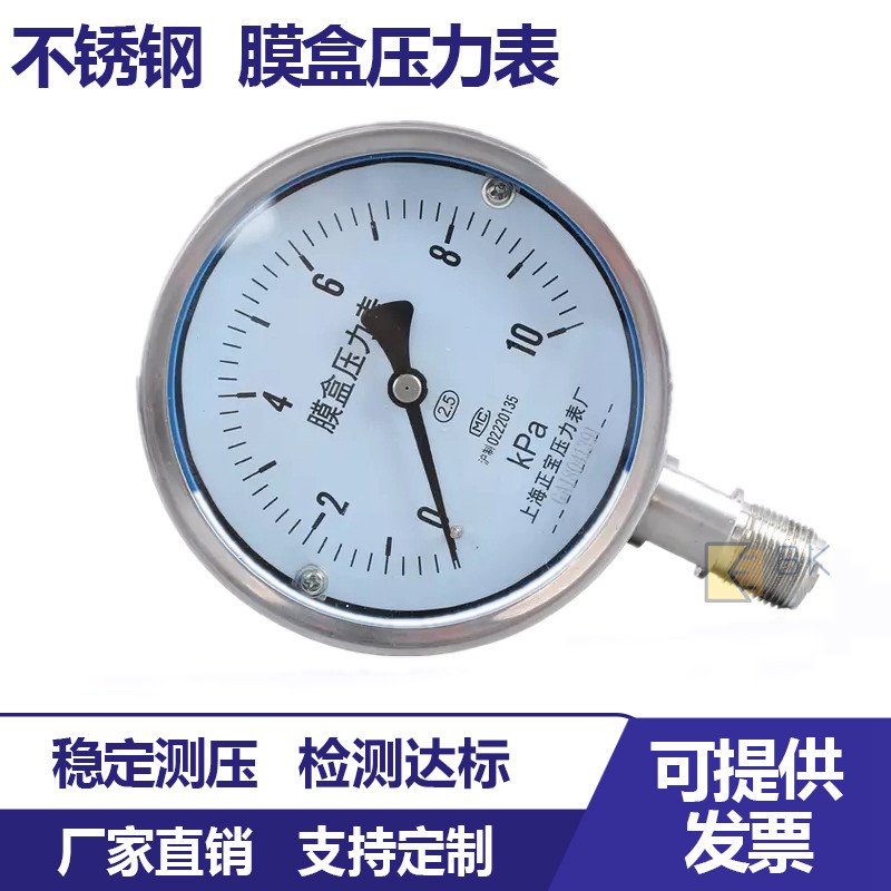 304 Stainless Steel Membrane Case Pressure YE100BF Table Gas Micropressure Table KPA Gas-meter Gas Pressure Meter