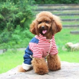 Полосатая комбинезонная одежда для собак четыре фута осень и зимняя одежда для домашних животных плюшевые джинсы одежда шнаузер