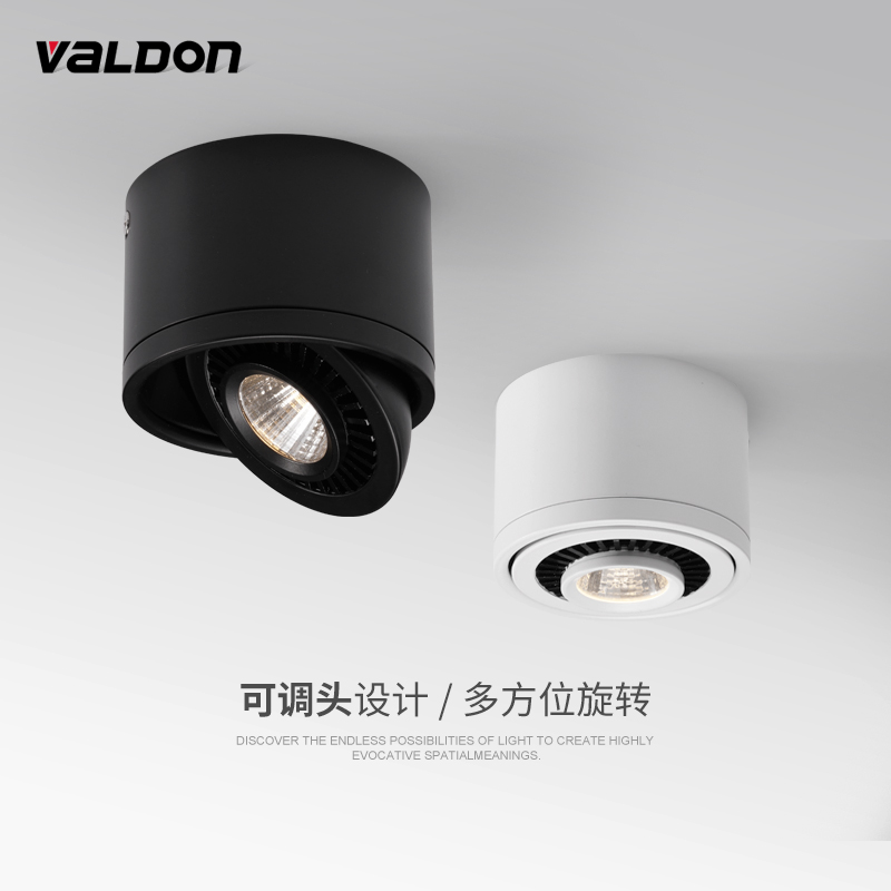 Free Bore Cylinder Light Wash wall lamp Ming Adjustable Light Corridor Aisle Xuan Guan Guan Ceiling Light Clothing Store Swivel Small Spotlight