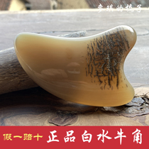 Pressure-free authentic white buffalo horn scraping board for face and whole body with horned skin