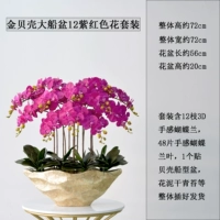 Бассейн золотистого корабля 12 фиолетовый красный комплект