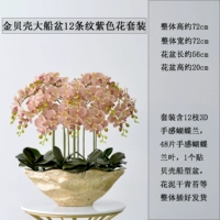 Бассейн золотистого корабля 12 полосатых фиолетовых комплектов