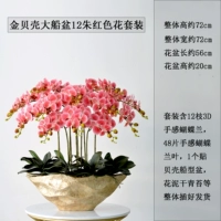 Бассейн золотого корабля 12 Zhuhong Set