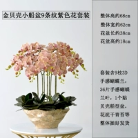 9 Маленькая золотая лодочная бассейн 9 -кар