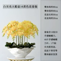 Цвета шампанского