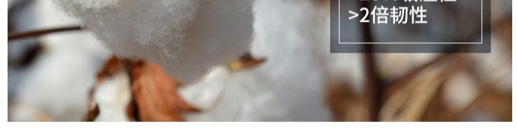 Quần cotton nam mùa thu và mùa thu trung niên quần lỏng, quần cotton cộng với phân bón để tăng độ ấm cho quần legging quan tat