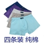 Đặc biệt hàng ngày Quần lót nam Boxer Cotton Sweat Bốn góc Kích thước lớn Quần short Đầu Thanh niên Quần cotton thoáng khí - Giữa eo các loại quần lót nam