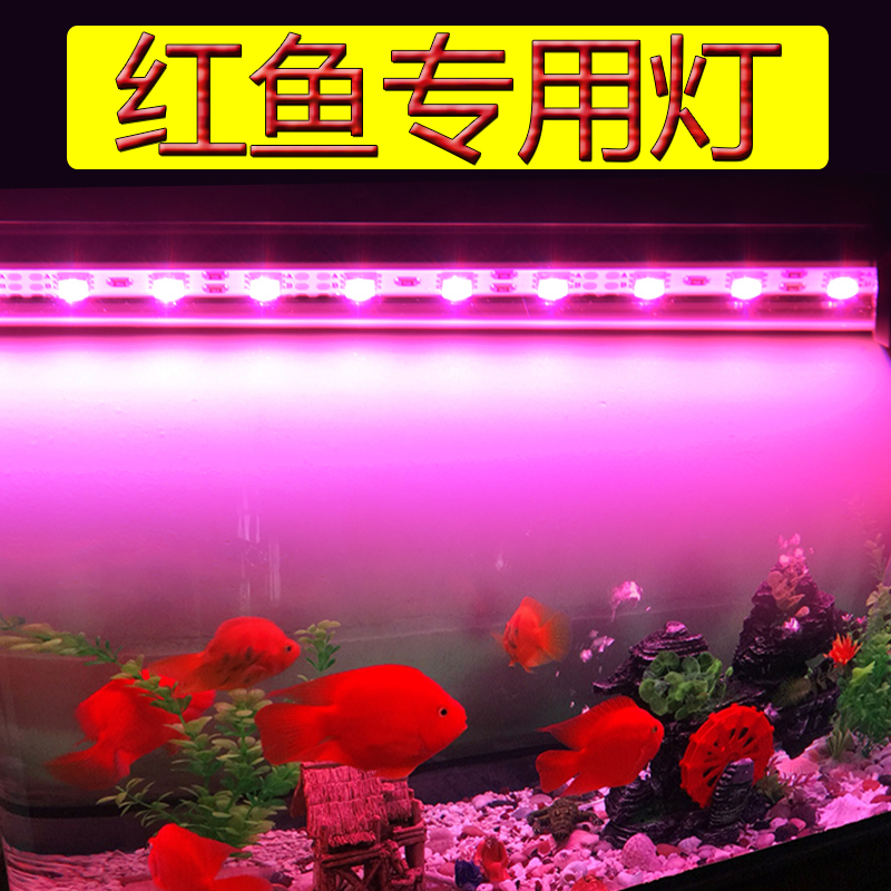 Magic red red fish lamp waterproof led fish tank lamp lighting Red dragon Arhat to increase red and color parrot fish special lamp
