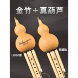 毕格宝 Yunnan Jinzhu Professional Performance Gourd C, Anti -GF Tun Gf взрослый начинающий студент, сэр, сэр, сэр