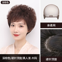 Темно -коричневый [все -задолженное вязание иглы верхнее вращение Большой код]