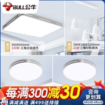 Bull 2021 new led dining room chandelier home modern simple living room bar net red light Nordic light luxury