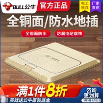 Bull ground plug socket Ground socket Invisible waterproof all-copper hidden ground floor Ultra-thin network five-hole panel