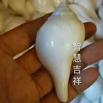 Jusheng Fo Bao La boutique de la boutique de la Boutique de Xiaoao est dédiée au professeur de livraison de Jiao pour envoyer des amis et des parents (5-6cm)