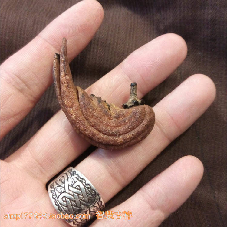 Natural Foot text to play with little Buddhist hand Old stock can be made with a pendulum atmosphere Jalot