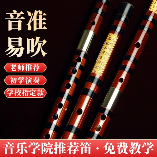 Профессиональные высокие базовые музыкальные инструменты для начинающих для школьников для взрослых