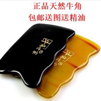 Horn family scraping Board natural horn scraping massage one-sided leg head and neck whole body wave shape