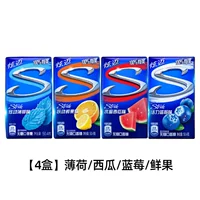 [Около 112 таблеток] арбуз+черника+мята+свежие фрукты