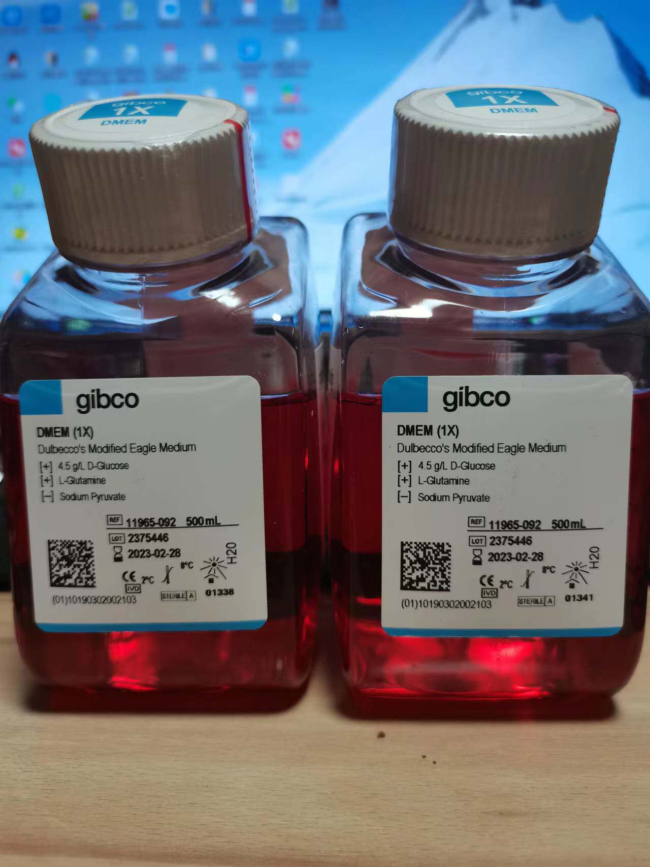 含票gibco11965092 11965-092 DMEM高糖培养基不含丙酮酸钠 500ml