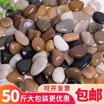 Finely polished cobblestone paving cobblestone paving cobblestone landscaping courtyard fish tank decoration natural pebbles