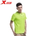 Bước đặc biệt áo thun ngắn tay nam mùa hè nam thoáng khí thấm hút ẩm ve áo cotton áo sơ mi thể thao hàng đầu - Áo polo thể thao