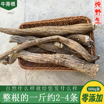 Whole burdock root pure wild natural Chinese herbal medicine quarried in deep mountains zero pollution zero pollution 500g no additives