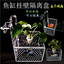 Fish tank acrylic hook filter box Small fish protection box suspended size peacock betta fry incubation