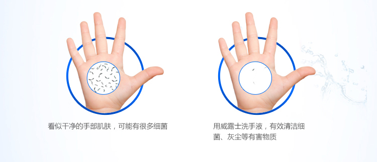 Walch/威露士倍护滋润健康抑菌洗手液525ml抵御干燥 易冲水