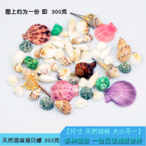 Conch shell decoration package fish tank landscaping bottom natural seashells colorful shells marine conch decoration ornaments
