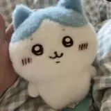 Японские подлинные чийкава gi kai kai self -beabled bears маленькие восьми кукол для плюшевых кукол. Маленькие ноги