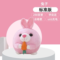 Стандартное издание Bunny [300 песен+обучение выступлению+USB -зарядка] (Любимые и отправляющие книги)