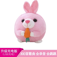 Кролик [300 песен+USB -зарядка+обучение говорит] фавориты и отправляют книги