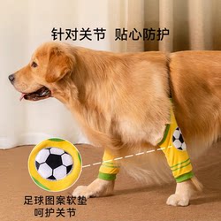 Big Dog Elbow Pad Knee Pad Golden Retriever Labrador Dog Border Pastoral Going Out to Protect Skeletal Pet All Year Round Neutral