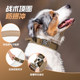 Outstanding Collar for Medium and Large Dogs, Golden Retriever, Labrador Collar, Border Collie Dog Collar, Dog Leash, Traction Rope