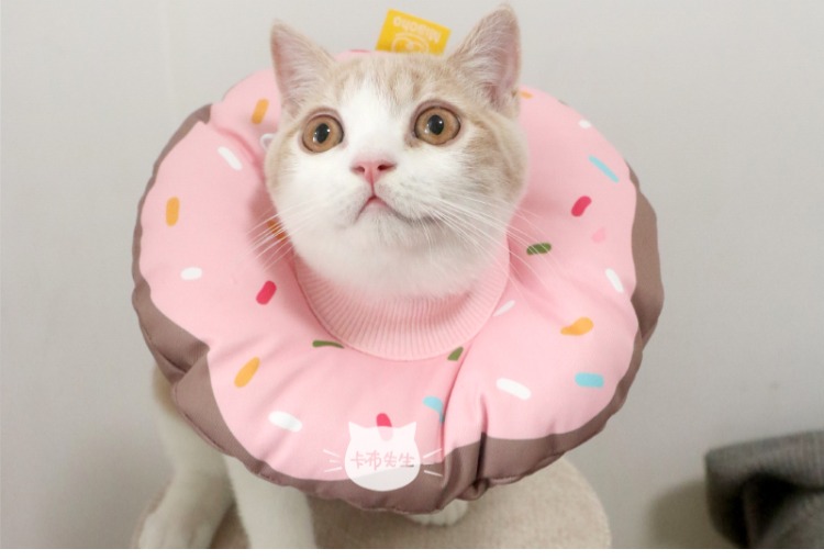 Kabu Shishi Duo Soft Elizabeth Ring Chống thấm chống cắn Donut Pet Dog Khử trùng - Cat / Dog hàng ngày Neccessities 	bát ăn cho chó poodle	
