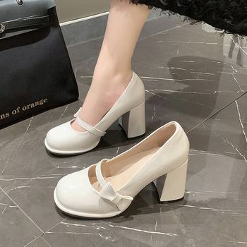 Women's Single Shoes for Outdoor Wear with Bow, 2025 Autumn New Versatile and Elegant Niche Professional Mary Jane High Heels with Chunky Heel