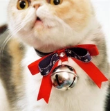 Конфеты -зарегистрированный питовой колокол щенки щенки котята кольцо кольцо