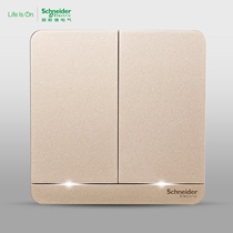 Original Schneider switch socket Yishang Bomujin double-link double-open two-open double-control with LED light switch