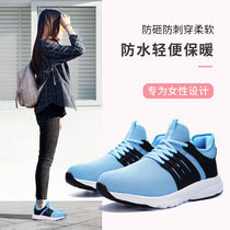 Large Terrace Mountain Camel Labor shoes Female Deodorant Anti-Smashing Puncture Proof of Ladle Head Safety Shoes Waterproof softsole Site Shoe Girl